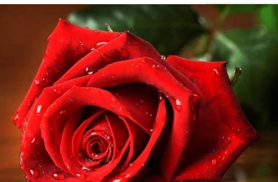 “三天”不愁，快乐一生