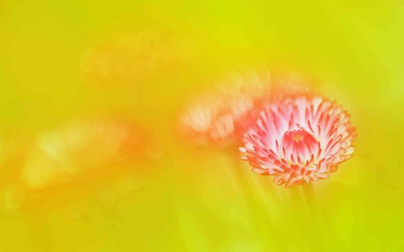 有一位画家，拿手做减法,他是毕加索