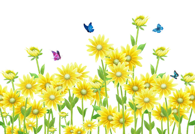 坚持住，不放弃，静下心去做好每一件事