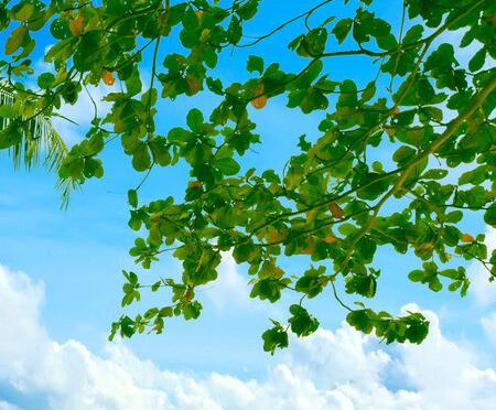 为赢自己，一起加油！