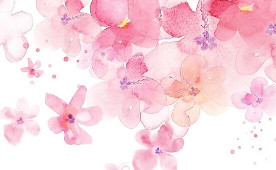 只要你肯耐心守着自己的网，没准你的鱼也会成为别人眼中的奇迹